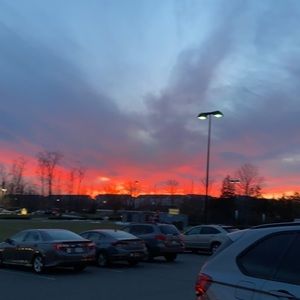 Meet your Posher, Phoebe